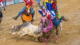 Campeonato Copa FEVECO 2023 Jaime Azuaje en Cuchi y sus 4 efectivas turnazo [upl. by Tiffi]