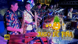 Marimba Jugo de Piña amp su Sax  El Sabor Tropical 4K [upl. by Flatto270]