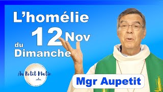 Évangile et homélie du Dimanche 12 Novembre  Avec Mgr Aupetit [upl. by Reivazx]