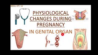 physiological changes during pregnancy in hindi pregnancychanges obstetrics uteruschanges [upl. by Australia]