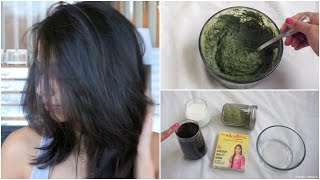 How to Apply Henna to hair at Home [upl. by Elleirbag]