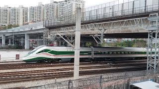 CR200J FXD1J02730274 臨客D9786次深圳東站廣州東站駛離深圳東站 [upl. by Naivad]