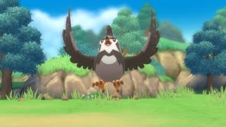 HOW TO GET Staravia in Pokemon Brilliant Diamond and Shining Pearl [upl. by Ahseneuq]