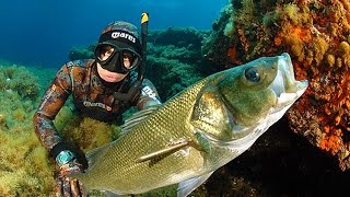 Pesca in apnea  Grosso branzino allagguato in schiuma  Pesce fulminato  Le requin [upl. by Kleper]