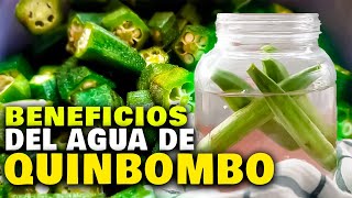 Descubre los 15 increíbles beneficios del agua de quingombo que cambian TODO [upl. by Amberly952]