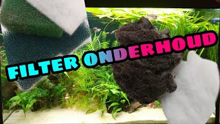 FILTER ONDERHOUD hoe vaak het aquarium filter schoonmakenNickey [upl. by Pincince]