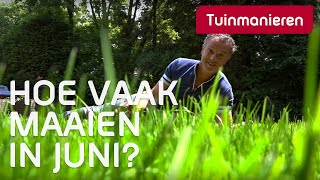 JUNI Hoe vaak moet je je gazon maaien in juni Gras tips [upl. by Letnohc71]