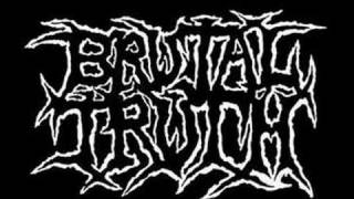 Brutal Truth  Denial Of Existence [upl. by Inavoj]