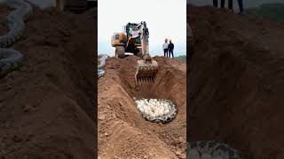 Excavator digging hill finds giant nest of python eggs python wildlife excavator anime [upl. by Silvestro]