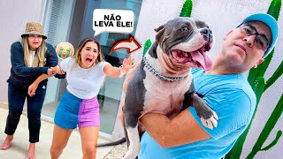 NOSSO CACHORRO ZAION VAI EMBORA PARA SEMPRE 😭😭😭 [upl. by Hsepid]