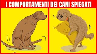 21 comportamenti dei cani e i loro significati  Fatti Straordinari [upl. by Rajewski]