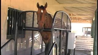 FullStride Horse Treadmill video [upl. by Canning]