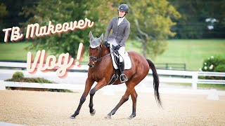 Thoroughbred Makeover Vlog [upl. by Eiba]