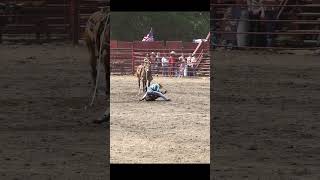 Calf Roping at the Roy Pioneer Rodeo calfroping horse rodeo [upl. by Morie]