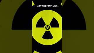 세계 핵무기 보유국 Nuclearweapon states [upl. by Peder]