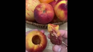 Nectarine deseeding amp cutting cuttingfruit nectarine satisfying shortsyoutube [upl. by Alket35]