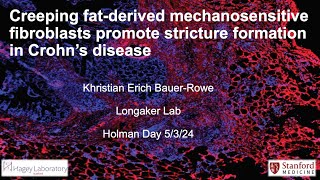 Creeping fatderived mechanosensitive fibroblasts promote stricture formation in Crohns Disease [upl. by Irolam]