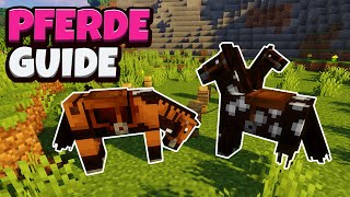 Minecraft  Pferde zähmen reiten amp züchten  116 Deutsch  German [upl. by Ycaj]