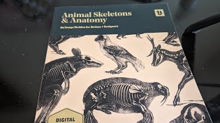 Vault editions Animal Skeletons amp Anatomy labeled [upl. by Darlleen42]