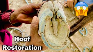 Worst Shape Hoof Repairing  Hoof Restoration ASMR  Hoof Trimming [upl. by Einnaj771]