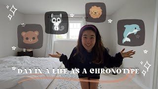 Day in the life of a bear  Sleep Chronotypes  Creating Systems amp Realistic Habits [upl. by Malachy]