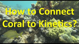 How to Connect Coral to Kinetics [upl. by Sanderson]