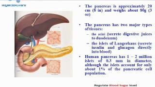 FENFURO An Innovation in Diabetes Management [upl. by Pavia270]