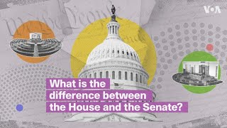 What are the roles of the US House and Senate  VOANews [upl. by Semajwerdna]