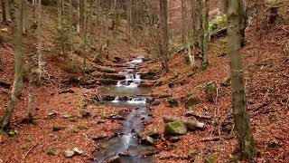 Jesienny Beskid Sądecki [upl. by Rosena679]