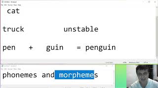 Phonemes and Morphemes the basics [upl. by Neerhtak624]