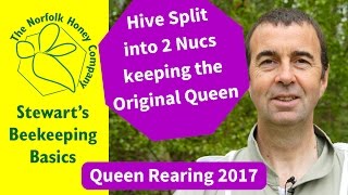 Creating Two Nucs by Splitting a Hive 2017 Beekeeping Basics  The Norfolk Honey Co [upl. by Dennie]