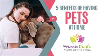 5 Benefits Of Having Pets At Home  Advantages Of Pets At Home  Importance Of Pets At Home [upl. by Elatnahs239]