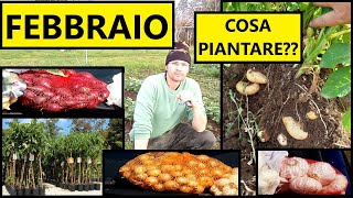 Cosa piantare a FEBBRAIO nellOrto nel Frutteto e in Casa  Tutorial Agricoltura [upl. by Simaj]