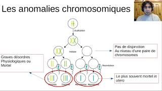 Les anomalies chromosomiques [upl. by Verda]