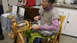 Angora bunny spinning New Hampshire [upl. by Light]