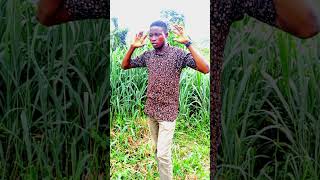 viral beat davido comedy funnynaija funny comedyvideos trending naijajollof comedyskits [upl. by Oshinski]