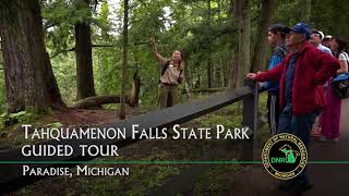 Tahquamenon Falls State Park [upl. by Mil301]