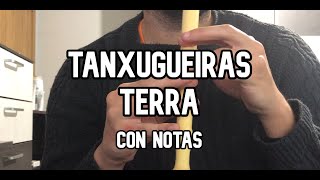 Como tocar Terra de Tanxugueiras en flauta dulce [upl. by Aserret]