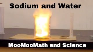 Sodium in water explosion Chemical Reaction [upl. by Vinni]