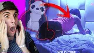 el PANDA de PELUCHE es de BUDÚPELIGRO Mariana POSEIDA [upl. by Sorips664]