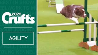 Agility – Crufts Singles Heat  Large  Crufts 2020 [upl. by Trammel]