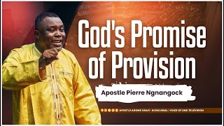 Gods Promise of Provision  Apostle Pierre Ngnangock [upl. by Kiraa]