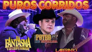 El Fantasma Potro Sinaloa Grupo Laberinto  Puros Coridos [upl. by Akiraa488]