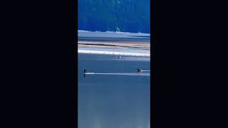 Turnagain Arm’s BoreTide AK [upl. by Yehus367]