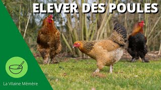 Ce quil faut savoir pour élever des poules [upl. by Hastie]