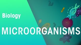 Microorganisms  Genetics  Biology  FuseSchool [upl. by Enirehtak]