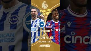 BRIGHTON VS CRYSTAL PALACE [upl. by Ellezig]