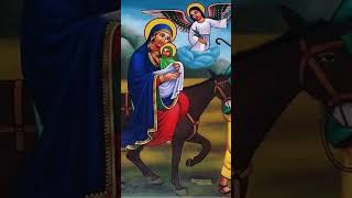 አክሊለፅጌማርያም akliletsigiemaryam ክበበጌራወርቅ ethiopianorthodoxmezmur orthodoxmezmur [upl. by Ahsiek128]