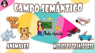 Campo Semántico y Familia de Palabras  Aula chachi  Vídeos educativos para niños [upl. by Shaia]