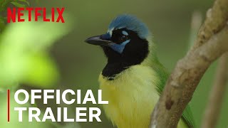 Birders  Main Trailer  Netflix [upl. by Piks]